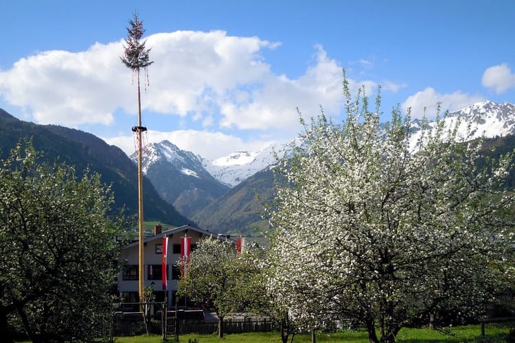 Maibaum