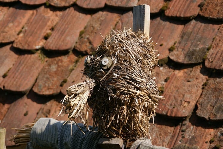 Vogelscheuche auf dem Dach